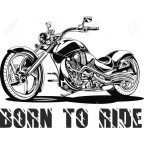 Born to Ride H image