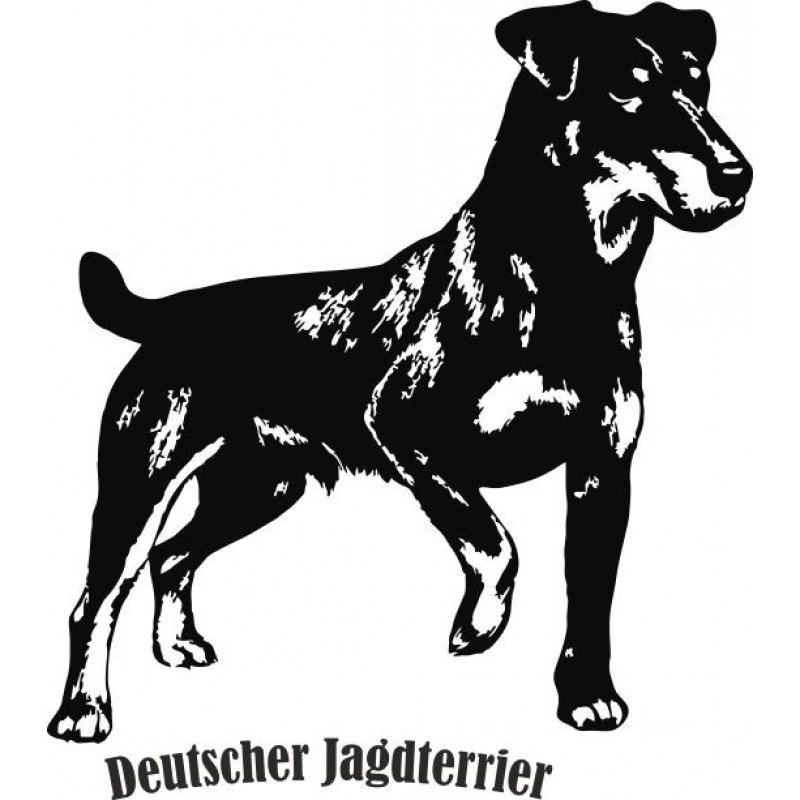 Jagdterrier image